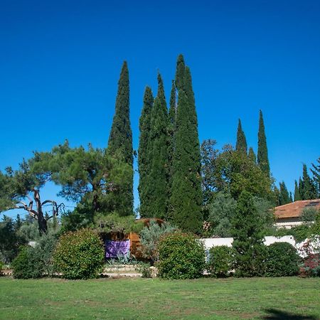 Vintage Provence Hotel Arles Bilik gambar